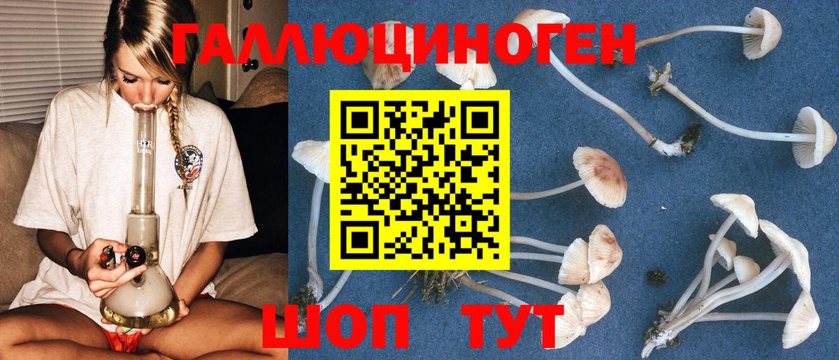 Псилоцибиновые грибы Magic Shrooms  Галлюциногенные грибы Cubensis  Камышлов  Вход с VPN 