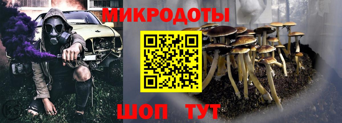 Псилоцибиновые грибы мицелий Камышлов