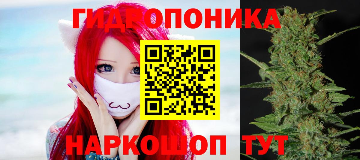 Камышлов  Бошки марихуана планчик  МАРИХУАНА Amnesia  Вход с VPN 